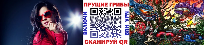 Галлюциногенные грибы ЛСД  дарнет шоп  kraken онион  Петрозаводск 